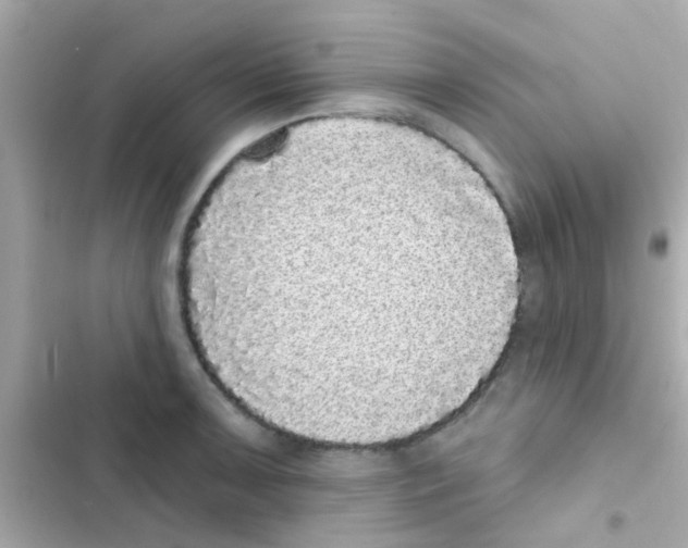 X0000103151091200809192023