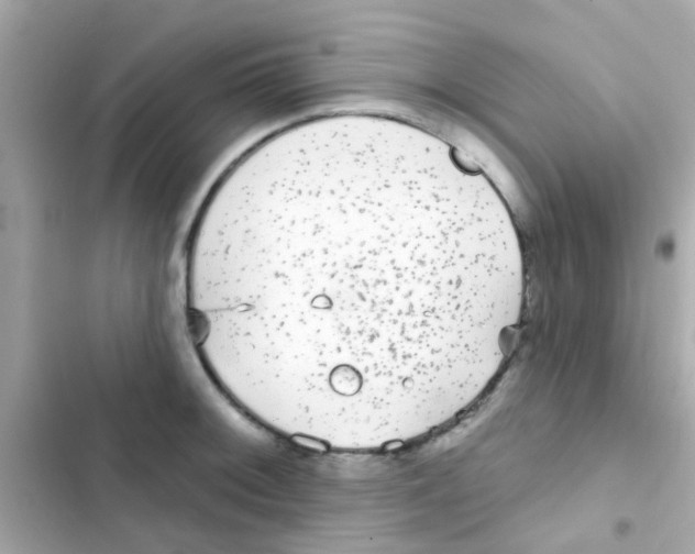 X0000103151092200809192023