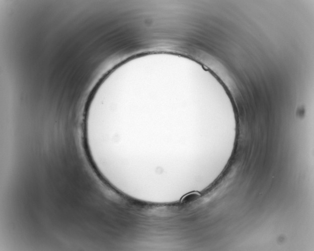 X0000103151093200809192023