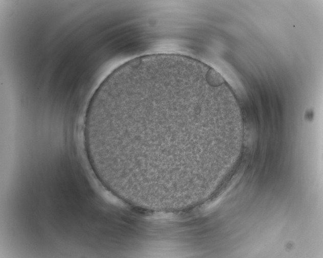 X0000103151094200809192023