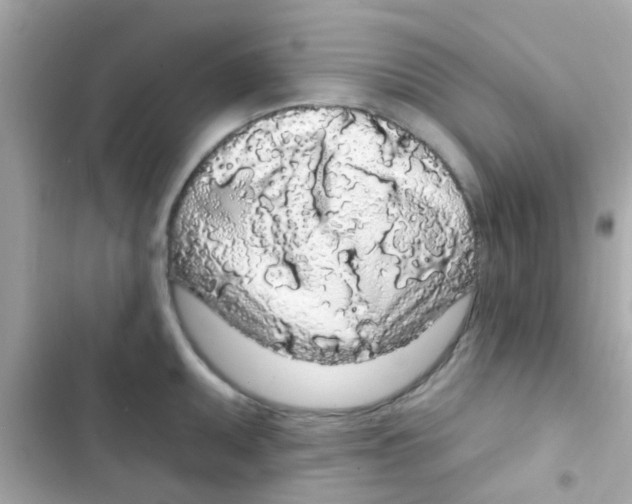 X0000103151095200809192023