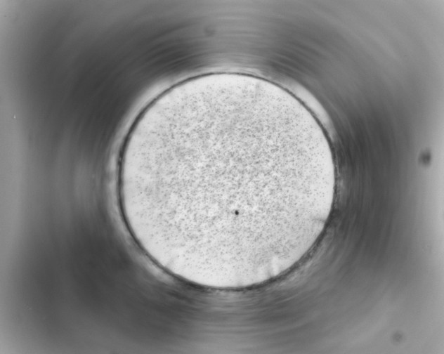 X0000103151096200809192023