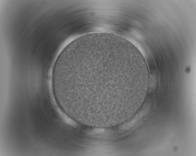 X0000103151098200809192023