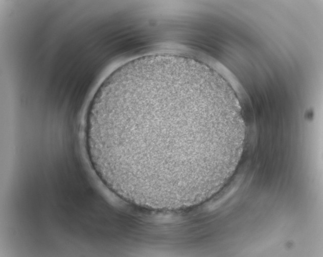 X0000103151099200809192023