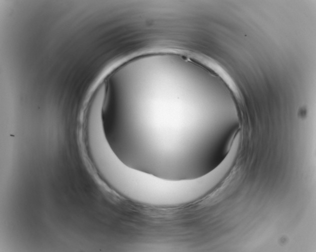 X0000103151101200809192023