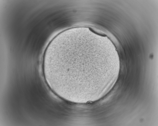 X0000103151102200809192023