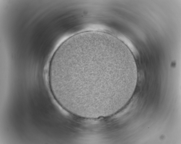 X0000103151103200809192023