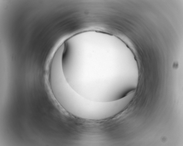 X0000103151104200809192023