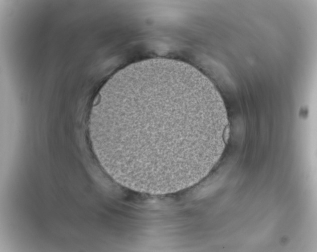 X0000103151105200809192022