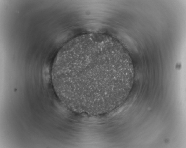 X0000103151106200809192022