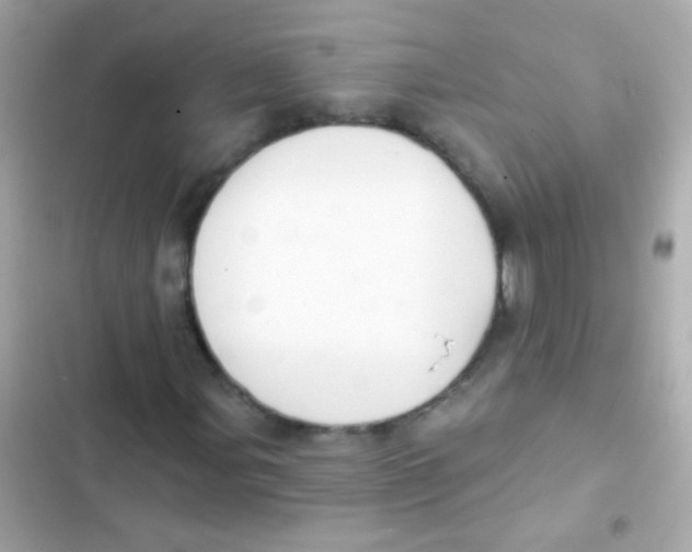 X0000103151107200809192022