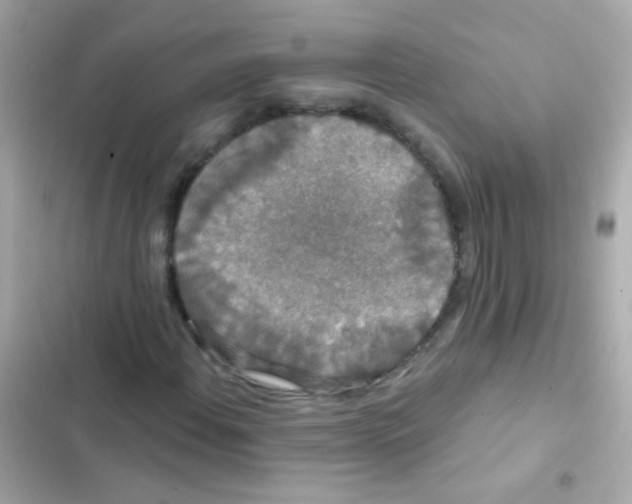 X0000103151108200809192022