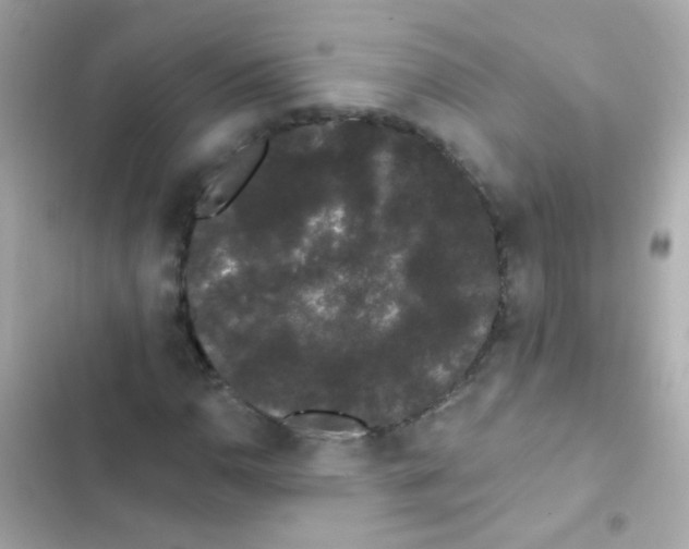 X0000103151110200809192022