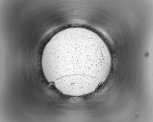 X0000103151112200809192022