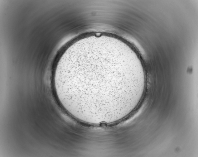 X0000103151114200809192022