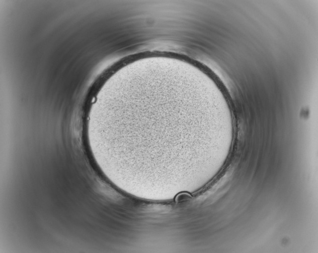 X0000103151115200809192022