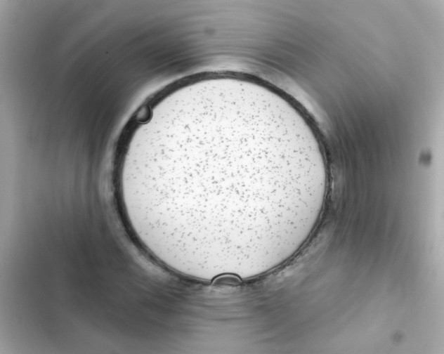 X0000103151116200809192022