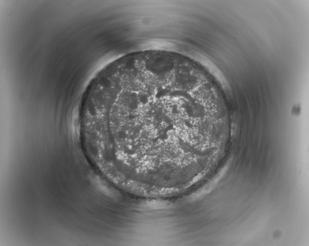 X0000103151117200809192022