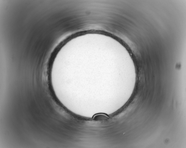 X0000103151118200809192022