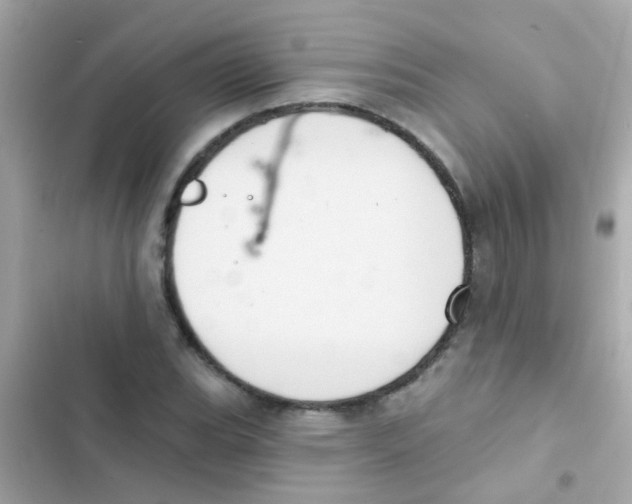 X0000103151119200809192022