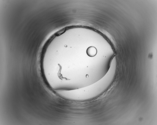 X0000103151120200809192022