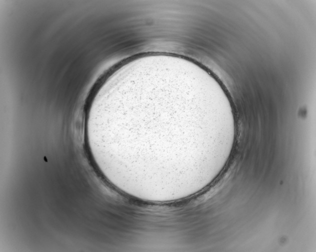 X0000103151123200809192023