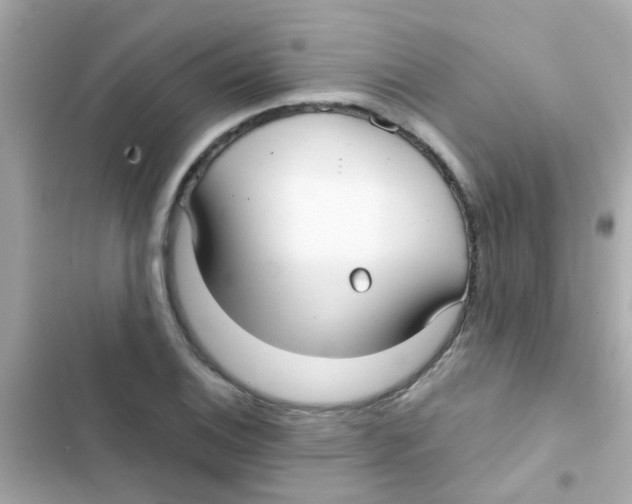 X0000103151124200809192023