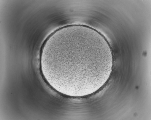 X0000103151126200809192023