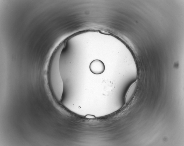 X0000103151128200809192023