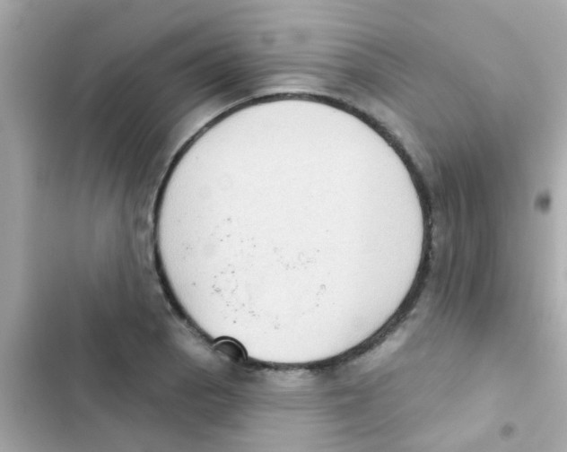 X0000103151129200809192023