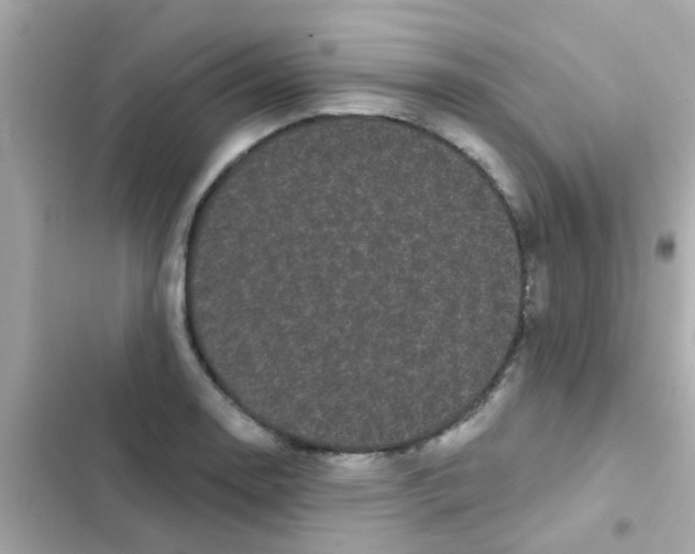 X0000103151130200809192023