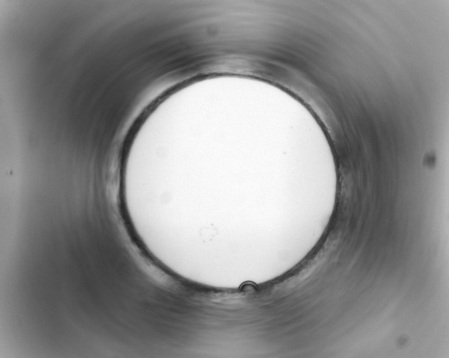 X0000103151131200809192023