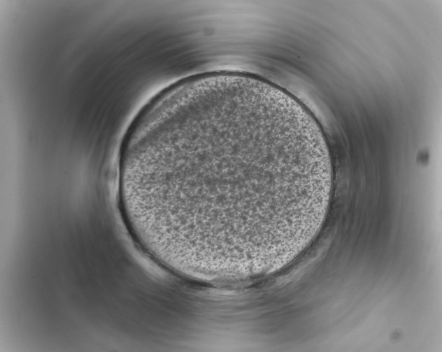 X0000103151132200809192023