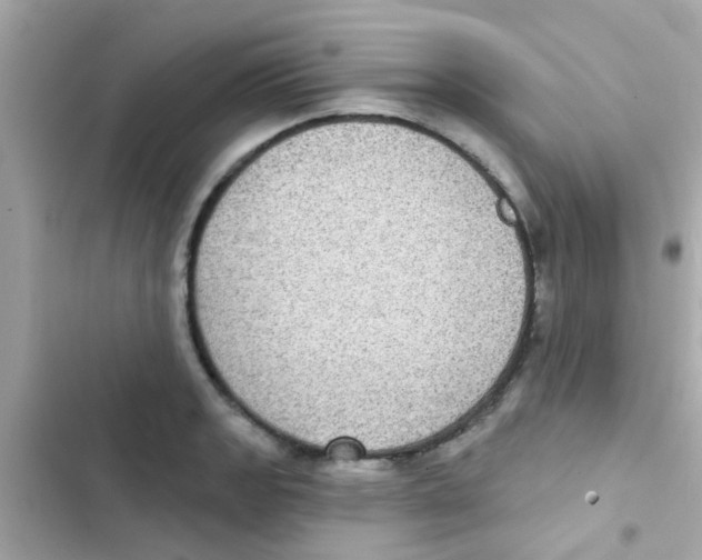 X0000103151133200809192023