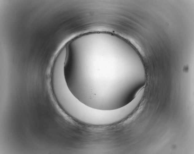 X0000103151134200809192023