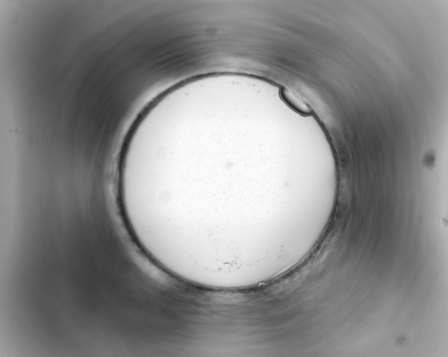 X0000103151136200809192023