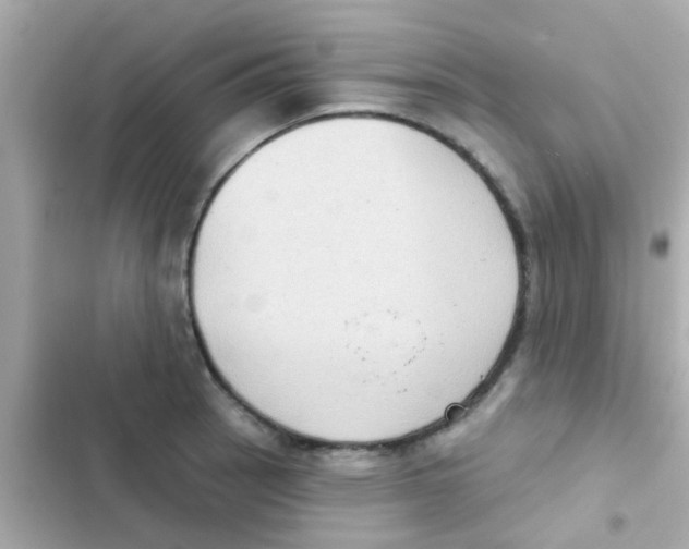 X0000103151137200809192023