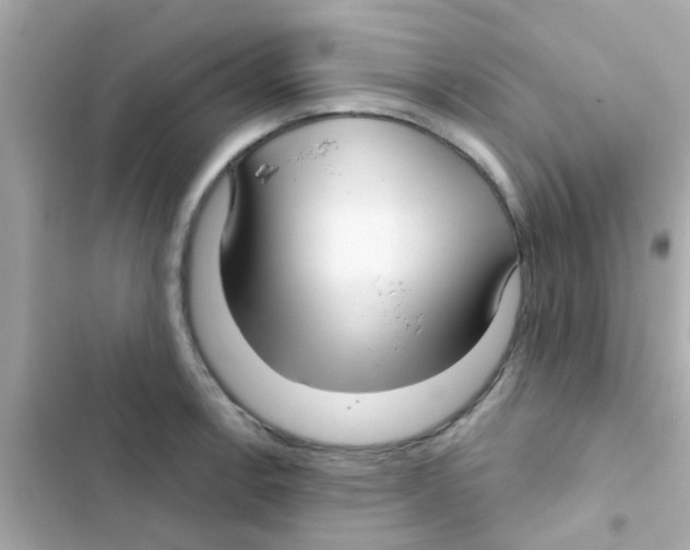 X0000103151138200809192023