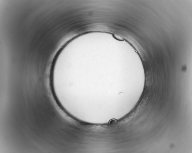 X0000103151139200809192023