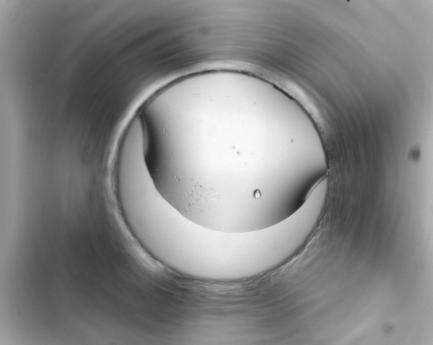 X0000103151140200809192023