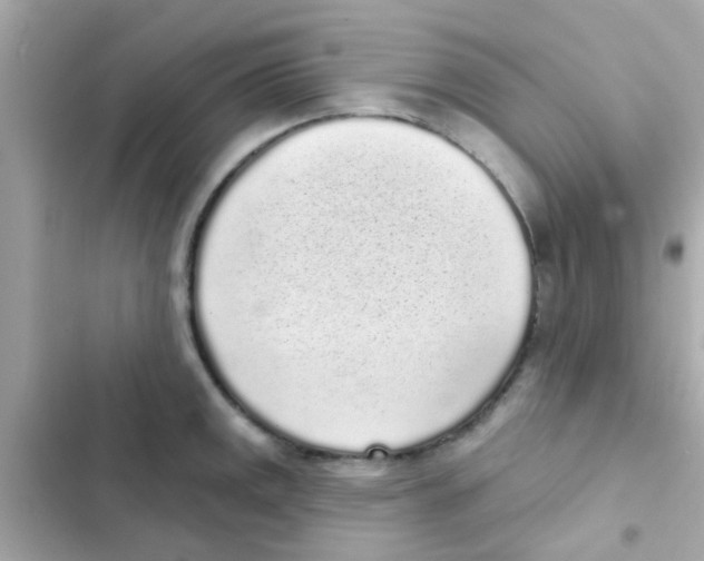 X0000103151141200809192023