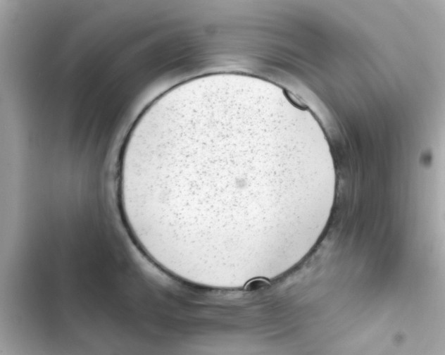 X0000103151143200809192023