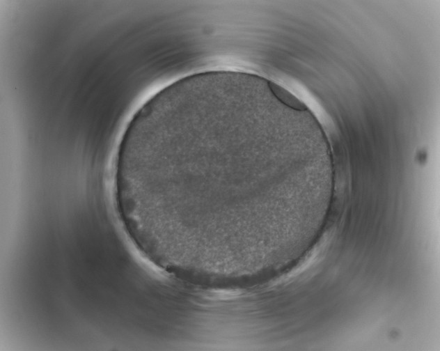 X0000103151144200809192023