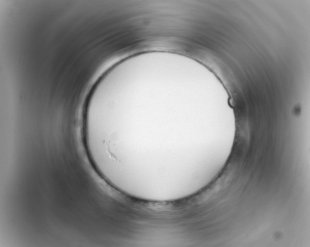 X0000103151147200809192023