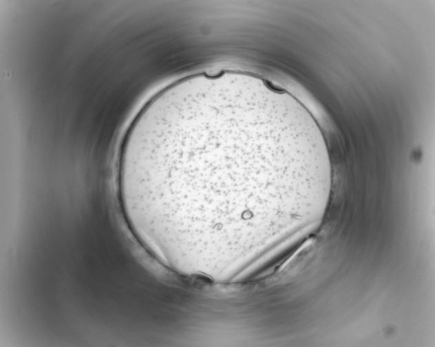 X0000103151148200809192023