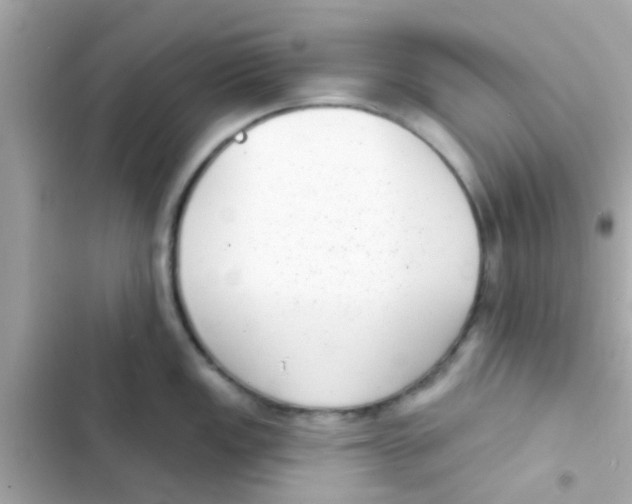 X0000103151149200809192023