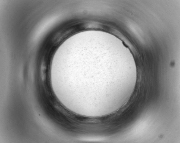 X0000103151151200809192023