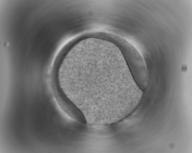 X0000103151152200809192023