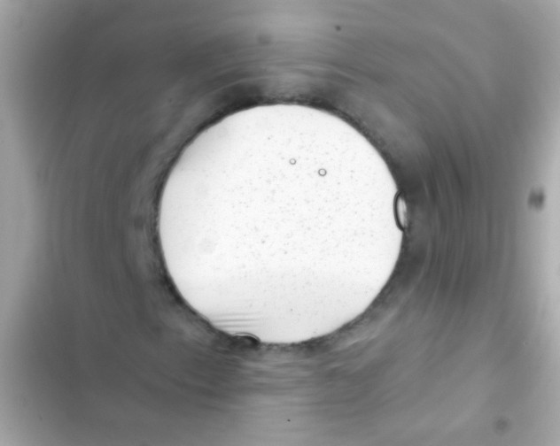 X0000103151153200809192022