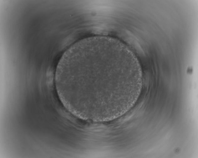 X0000103151154200809192022